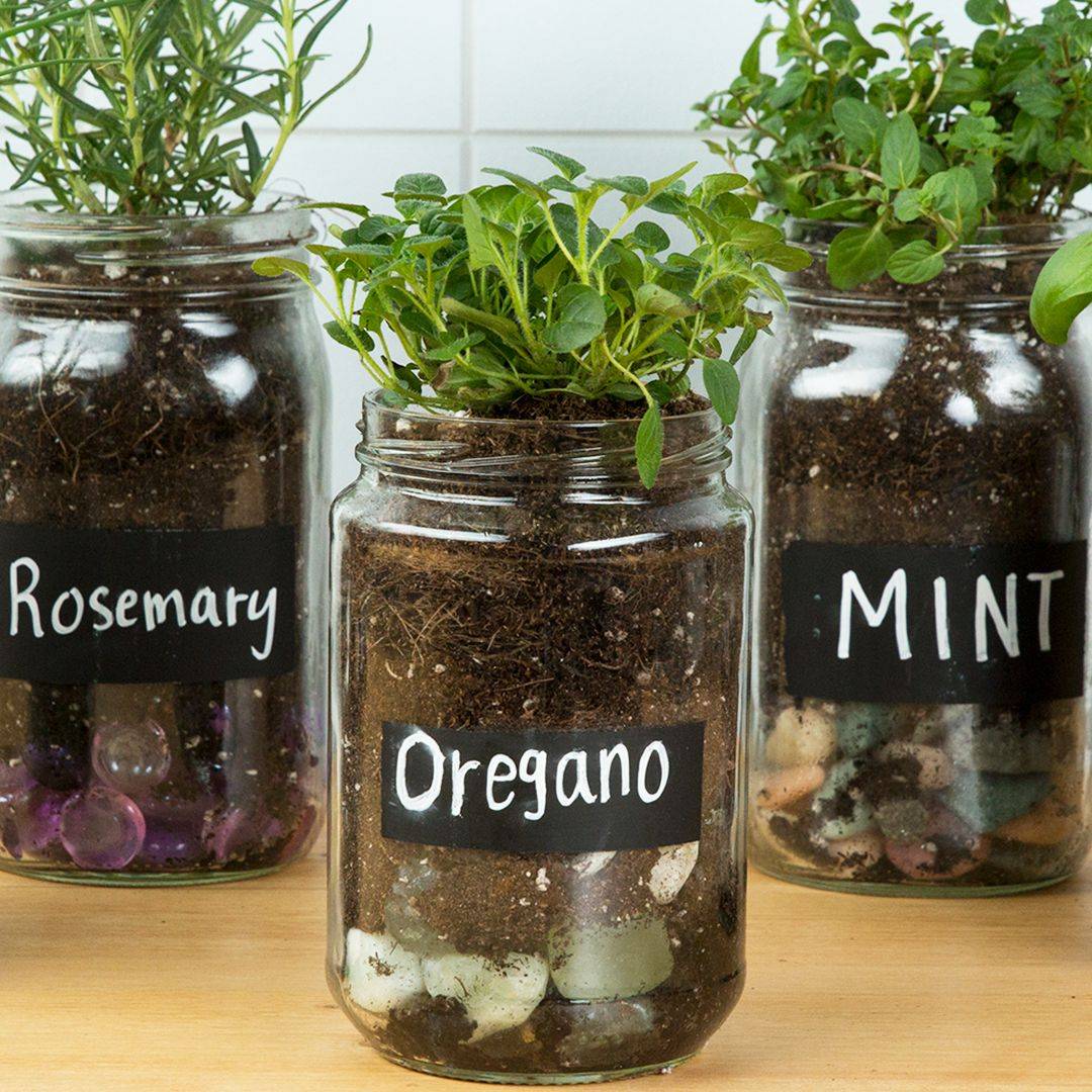 20 Glass Jar Herb Garden Ideas To Consider SharonSable