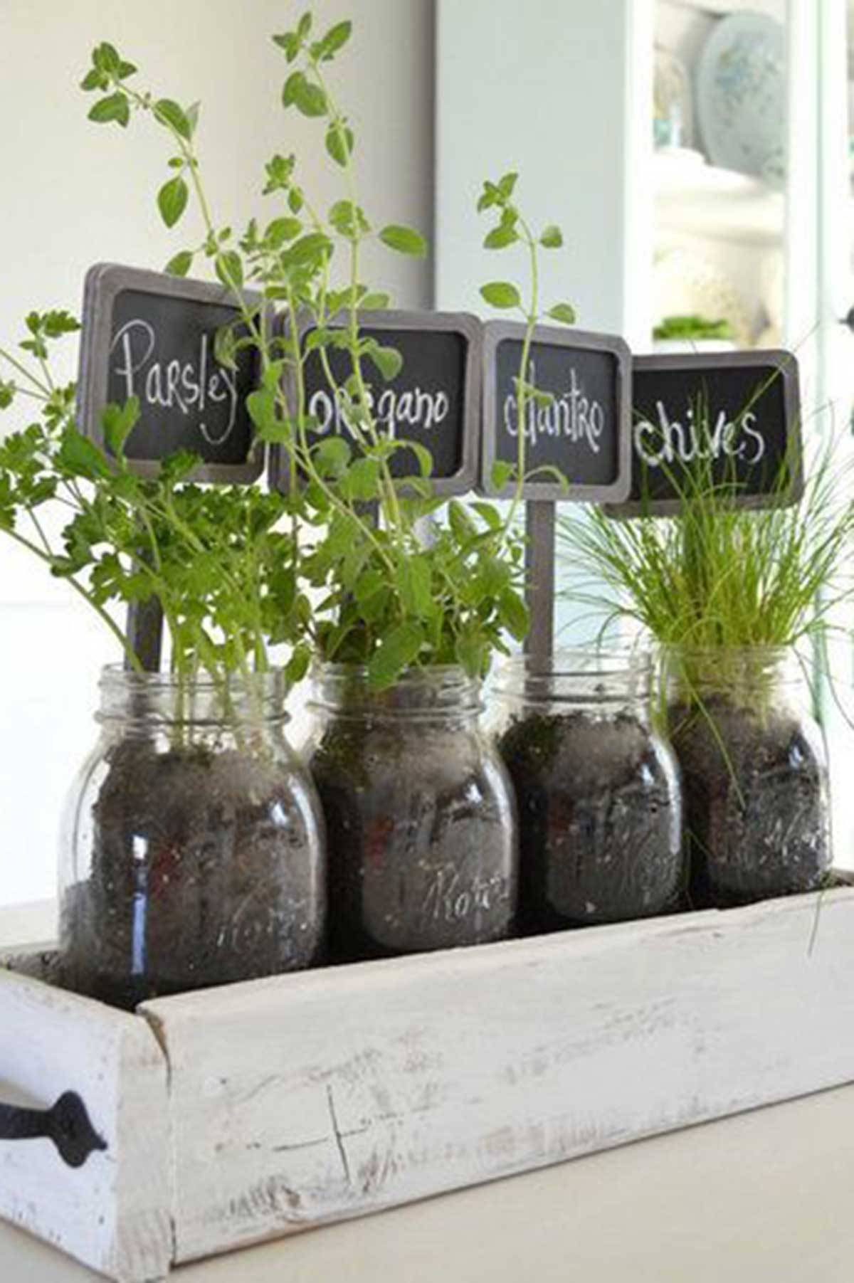 An Adorable Herb Garden