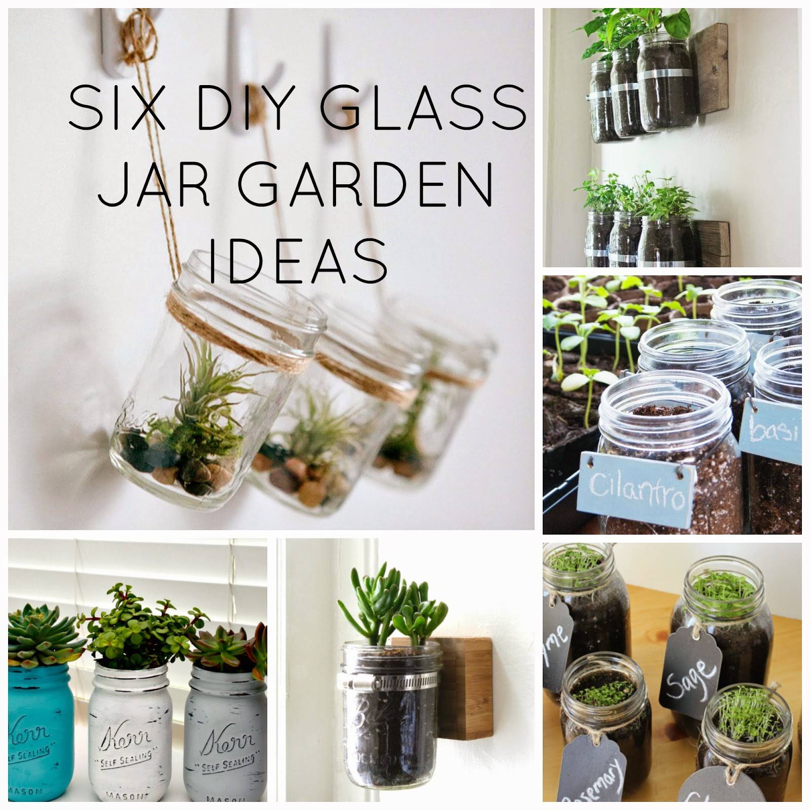 A Little Glass House Container Gardening
