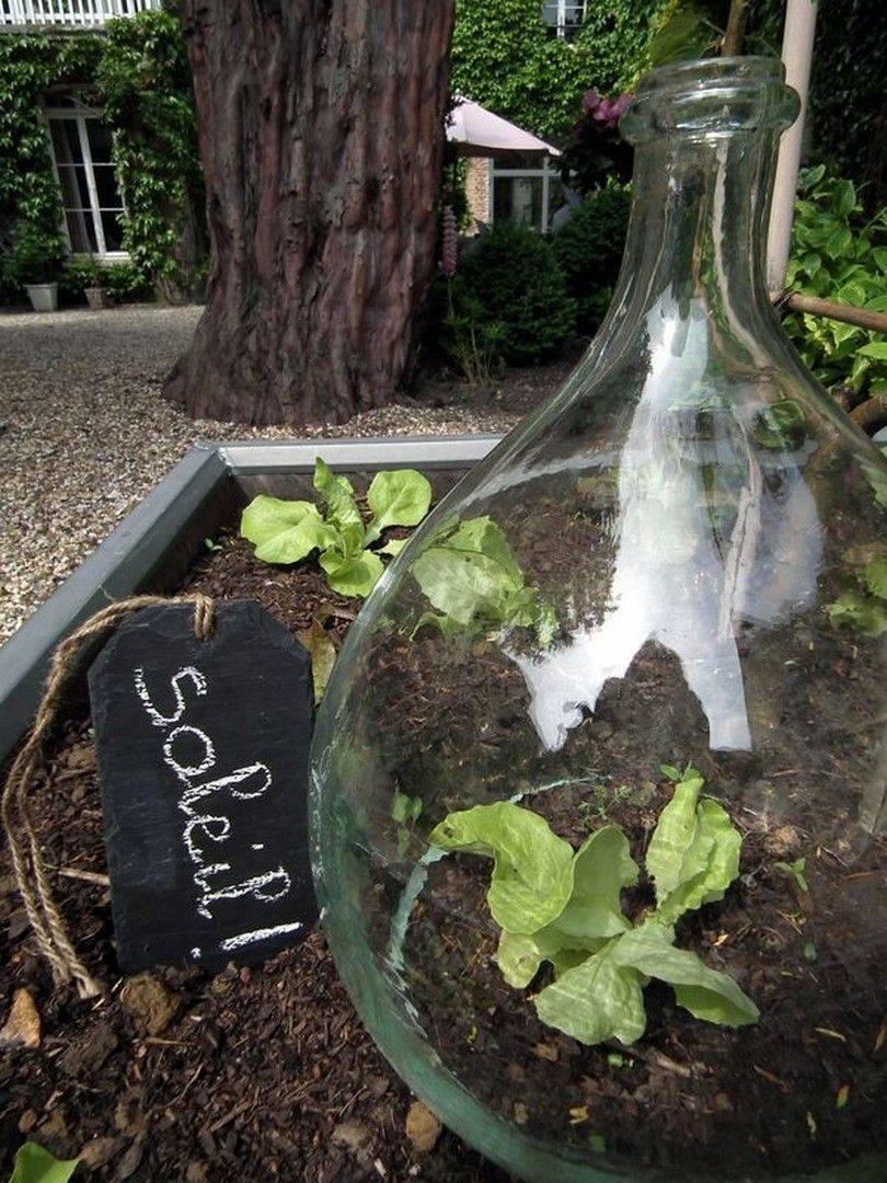 Summer Succulent Mason Jar Planters Mason Jar Crafts Love