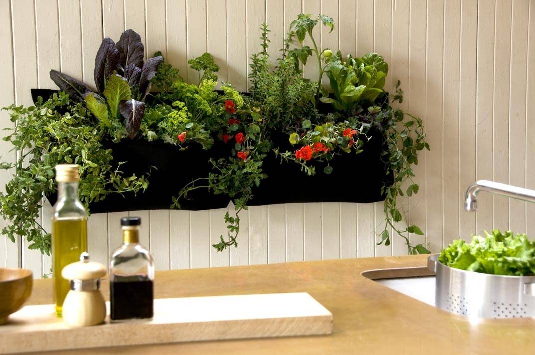 Diy Indoor Herb Garden Ideas And Planters Theyre Easy So Cute