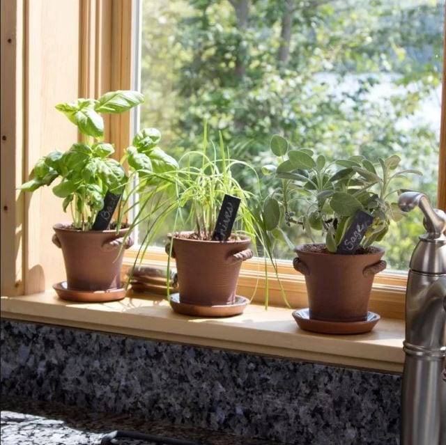 An Indoor Herb Garden Gardening Viral