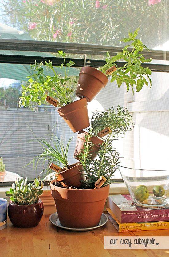 Simple Herb Garden Ideas