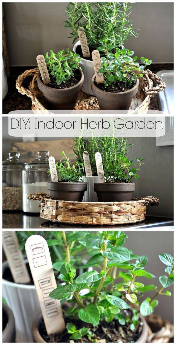 Amazing Diy Indoor Herb Garden Ideas