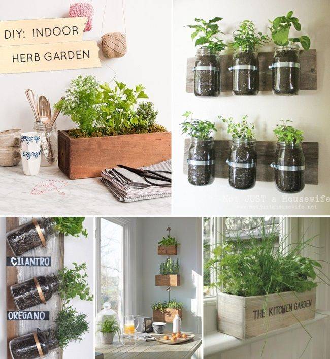Planting Herbs Indoors