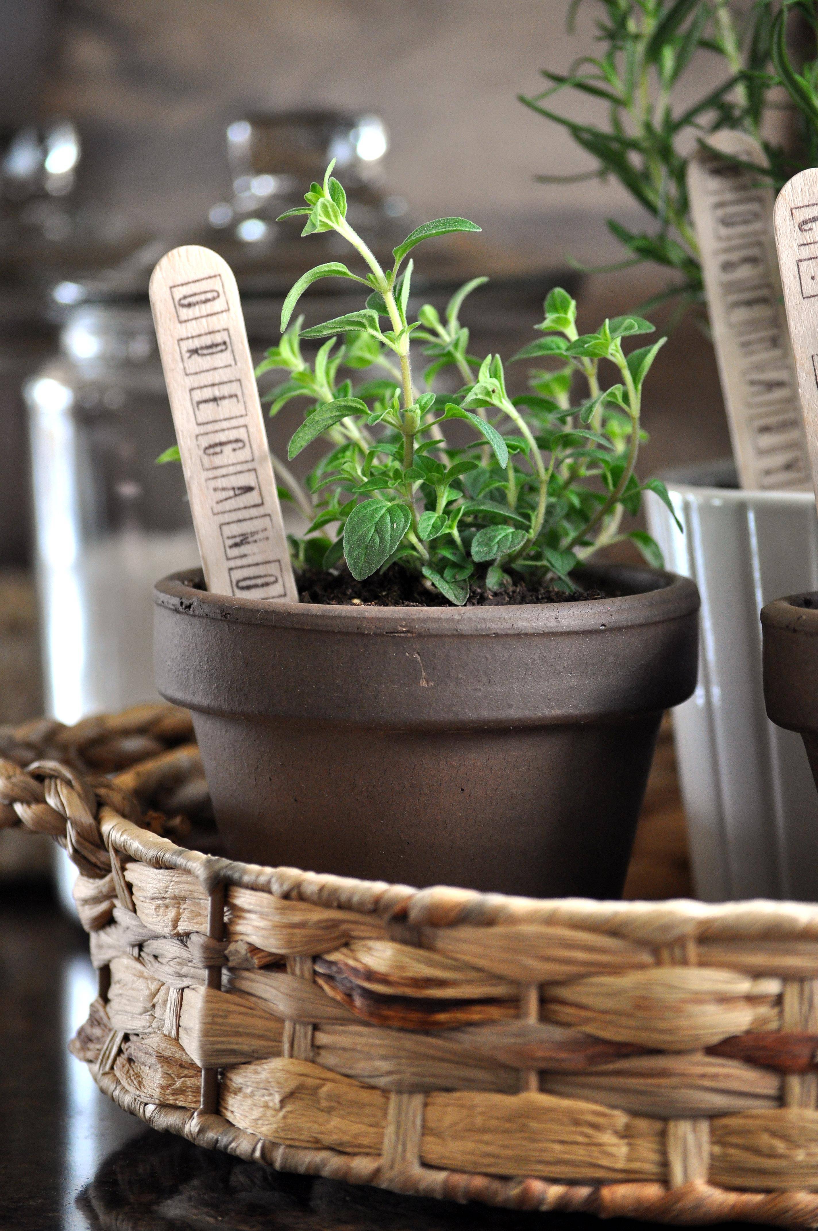 Diy Indoor Herb Garden Ideas