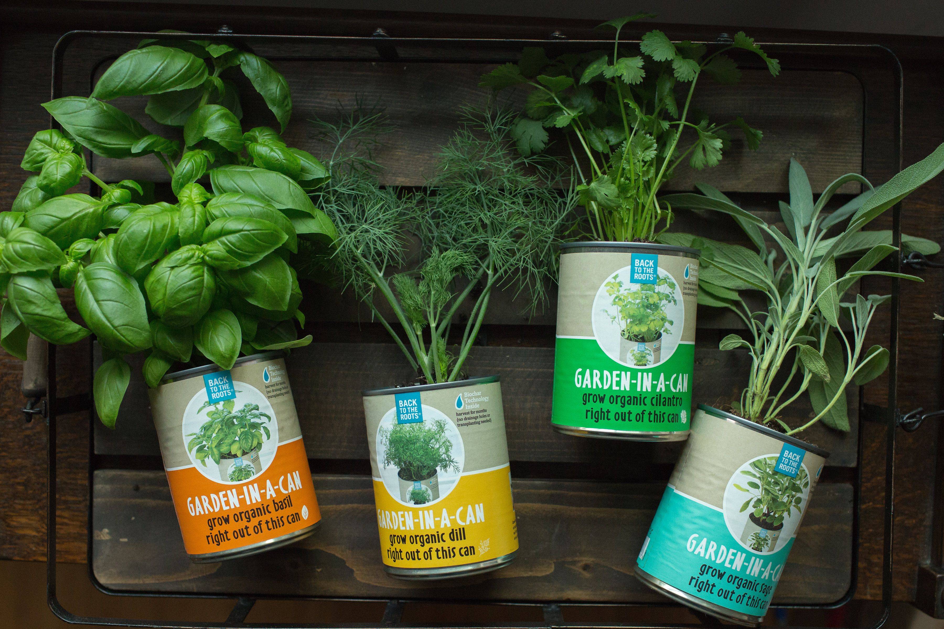 Complete Herb Garden Kit Interior Design Ideas