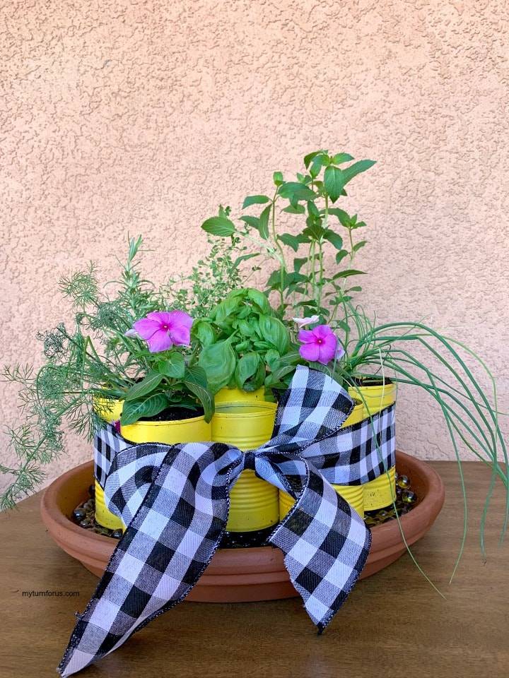 A Giftable Indoor Herb Garden Kit