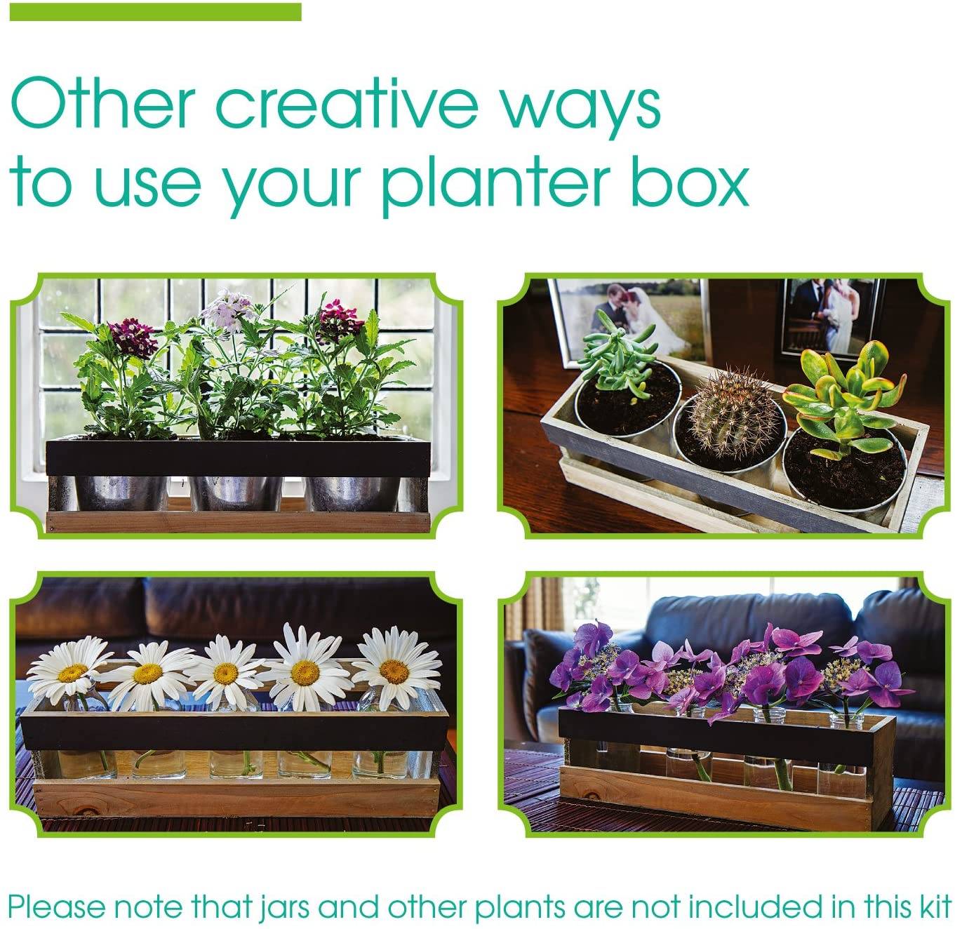 A Giftable Indoor Herb Garden Kit
