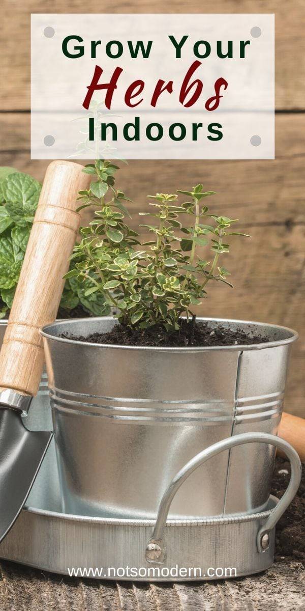 Herb Garden Ideas