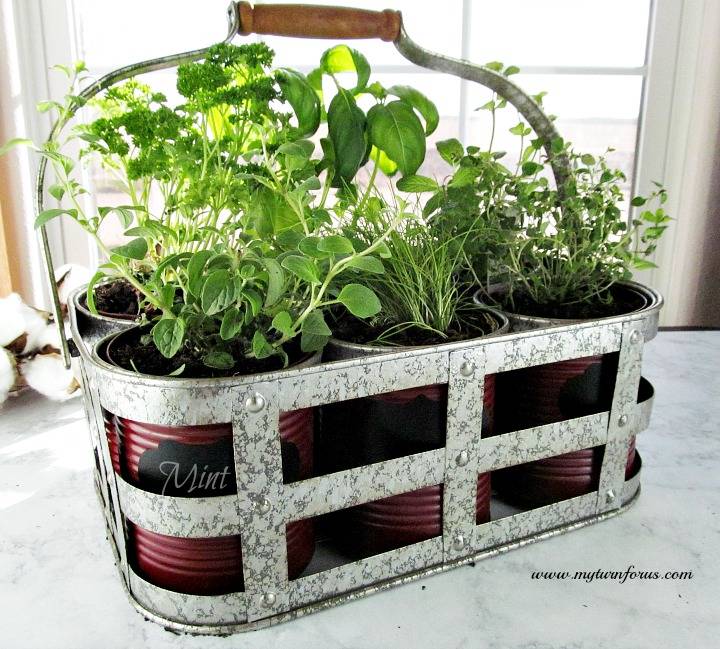 Herb Garden Kit