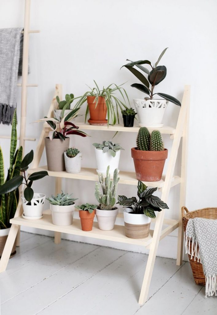 Amazing Indoor Plant Stand Ideas