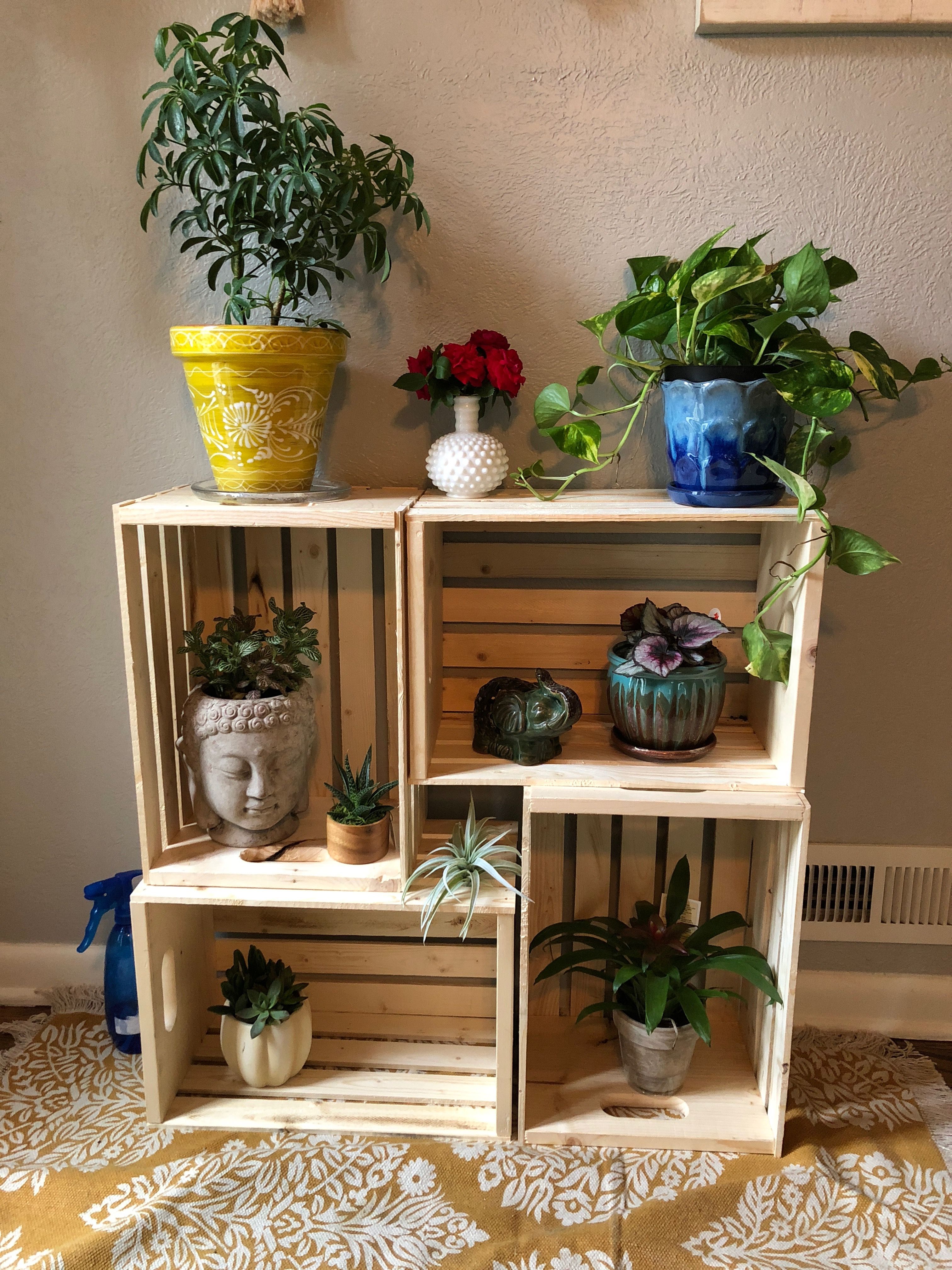 Cool Plant Stand Design Ideas