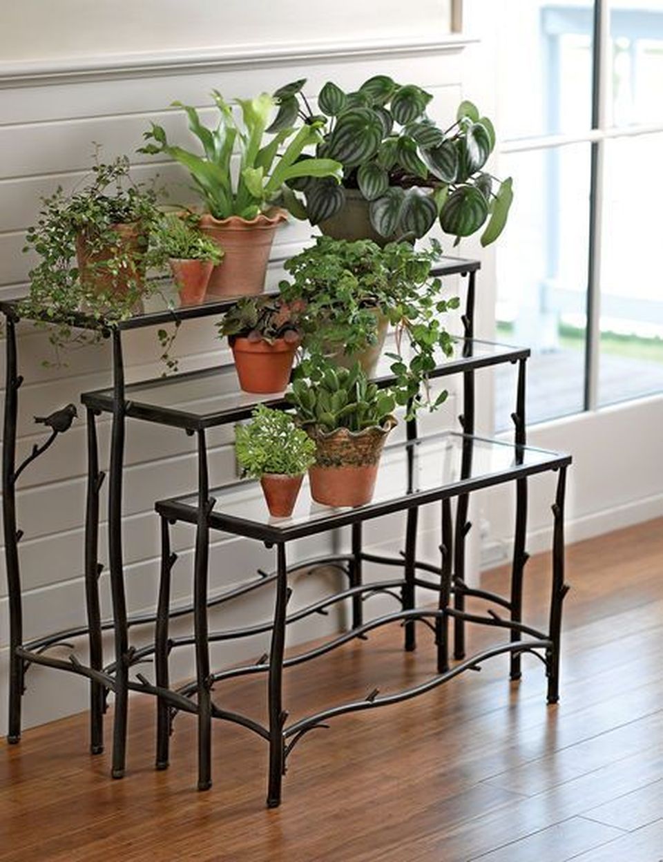 Unique Plant