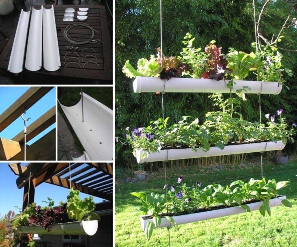 Herb Gardening