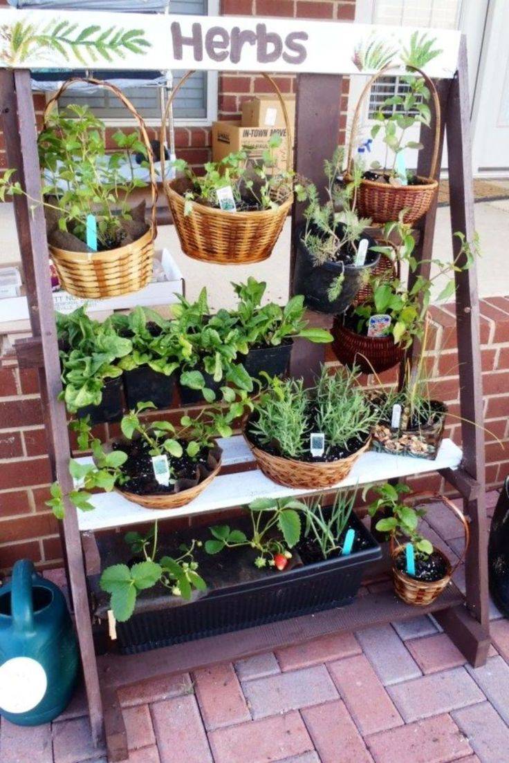 Favourite Indoor Garden