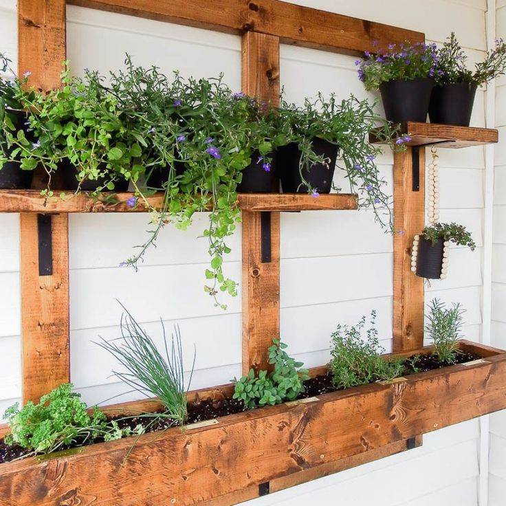 Herb Gardening Designs