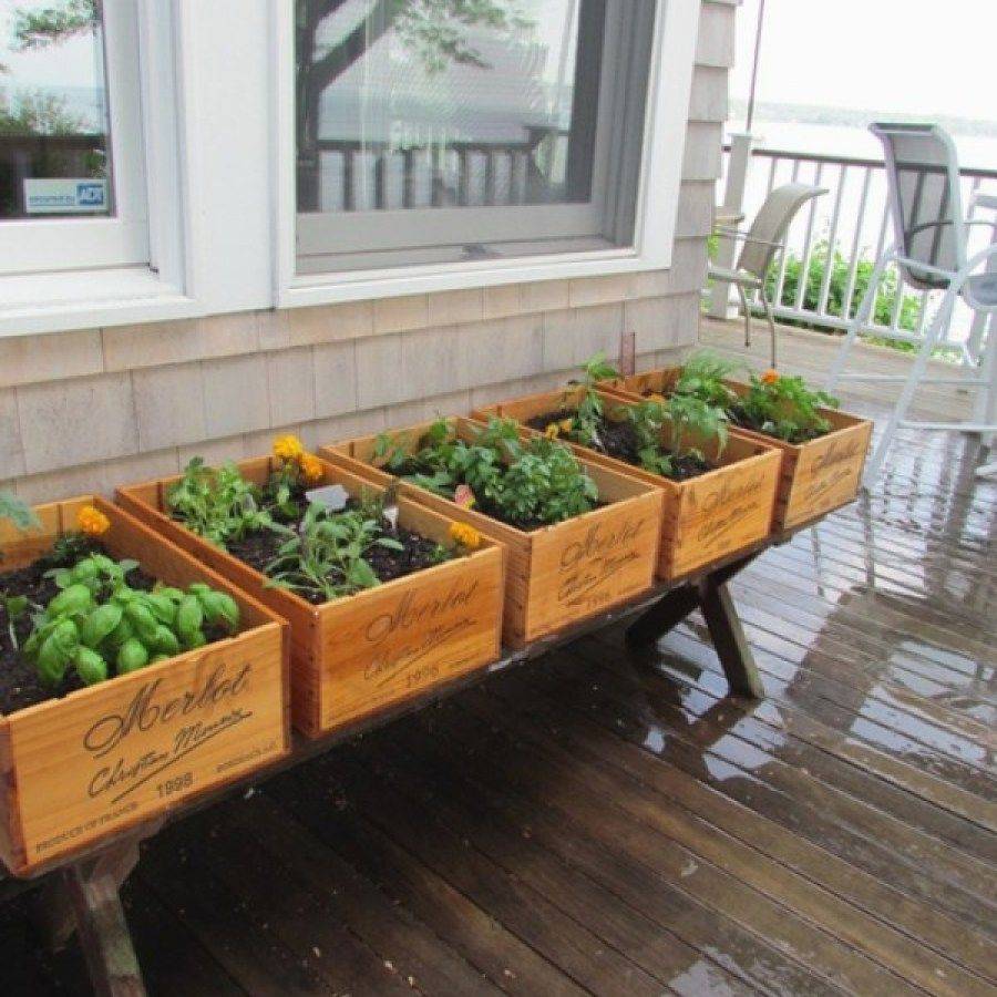 Herb Garden Indoor Ideas Page