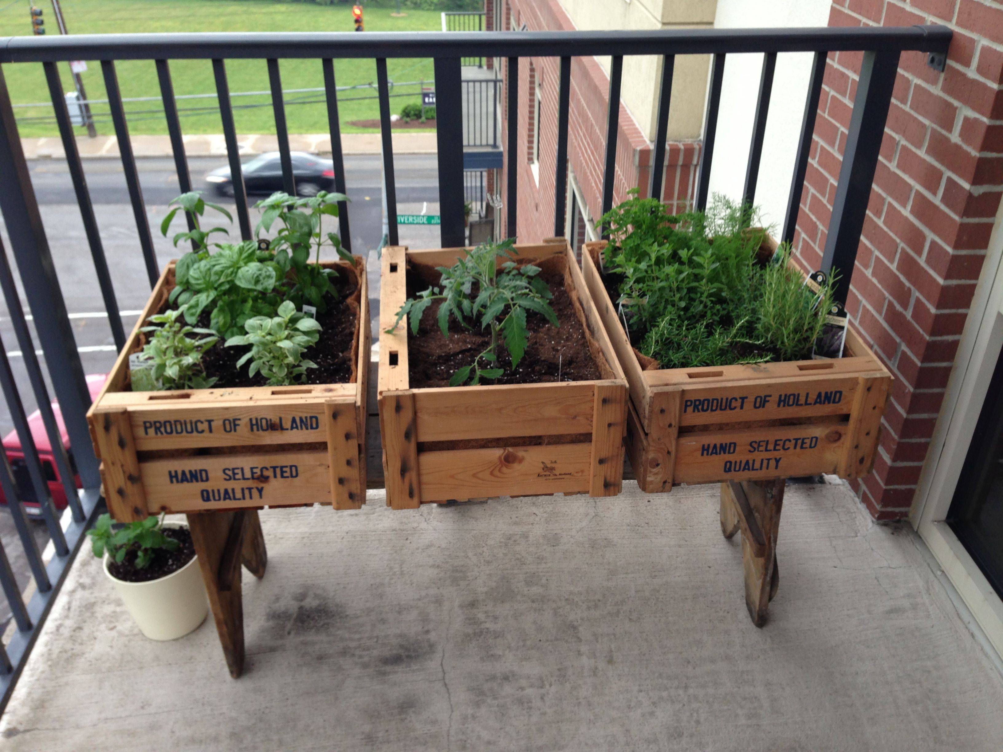 Apartment Patio Backyard Veggie Gardening Ideas