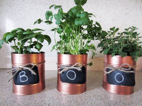 Diy Tin Can Herb Garden Ideas