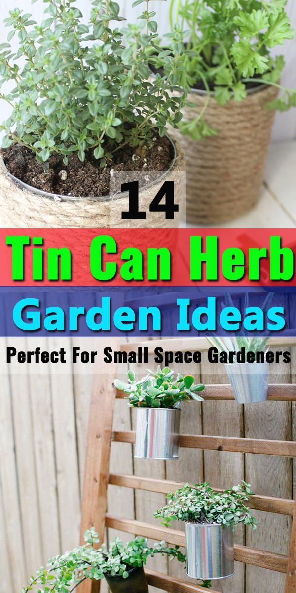 Diy Tin Can Herb Garden Ideas