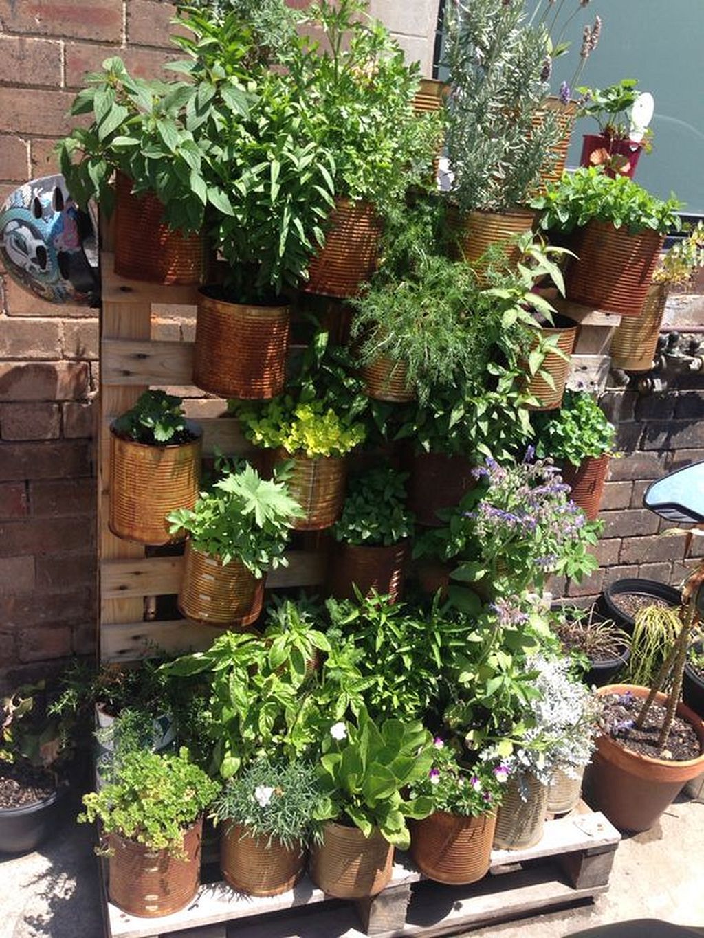 17 Tin Can Herb Garden Ideas You Gonna Love SharonSable