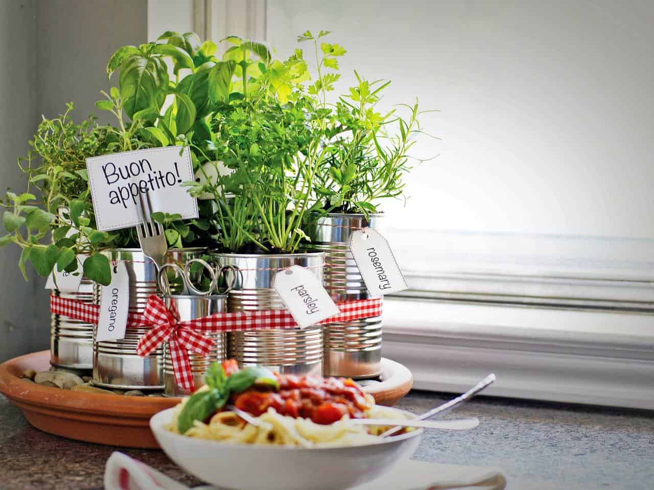 A Tin Can Diy Herb Garden
