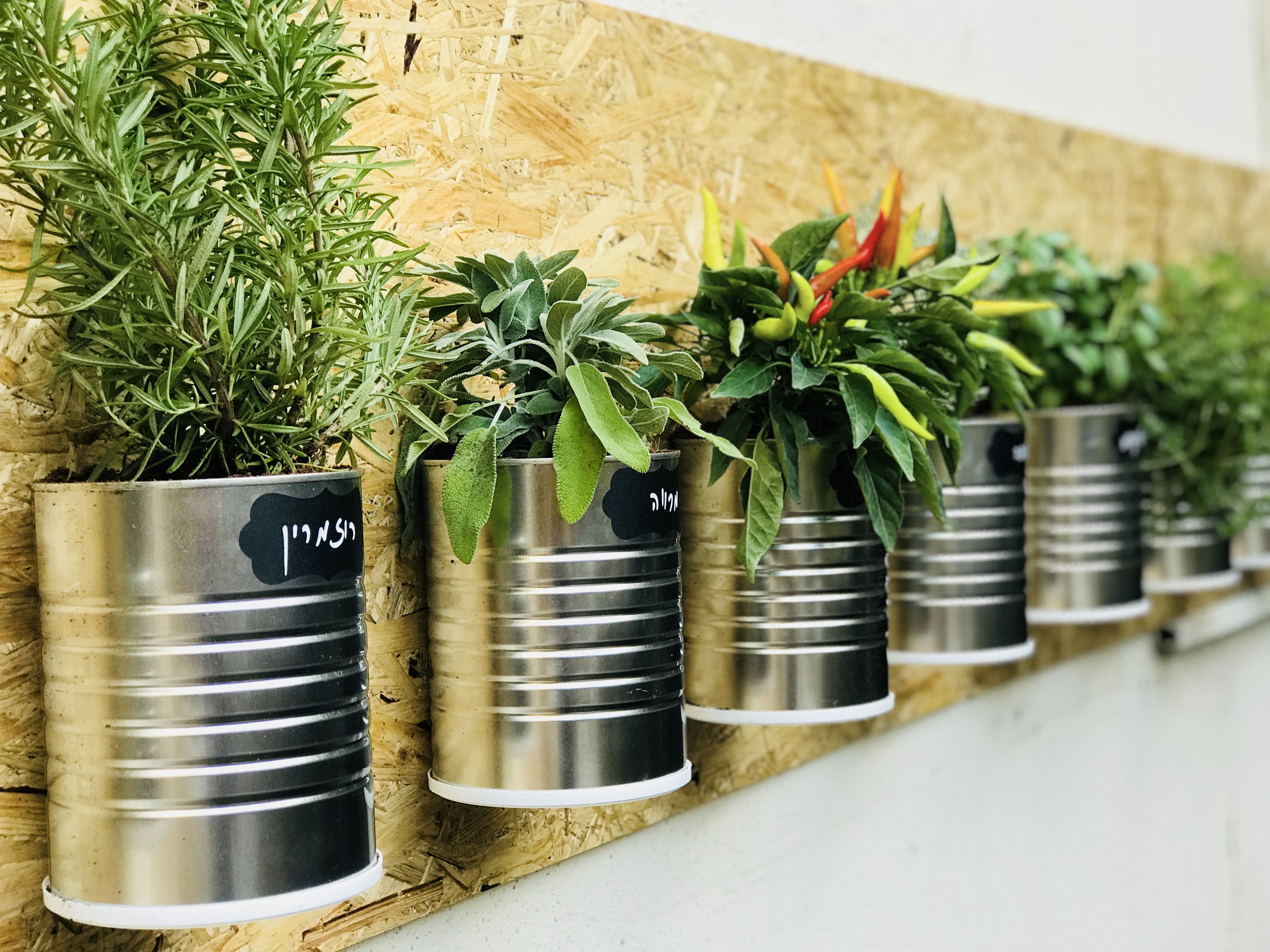 Hacks Small Garden Projects