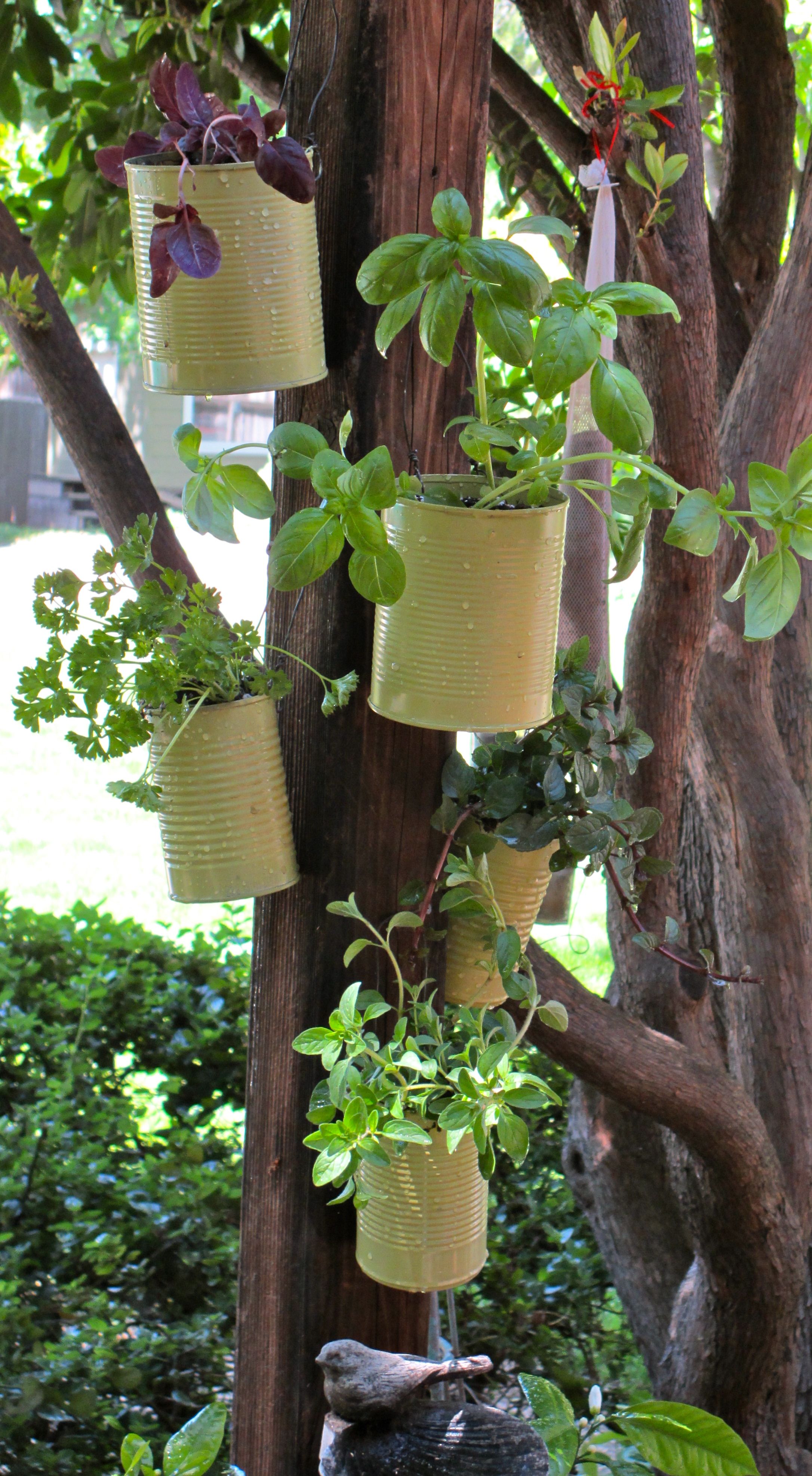 Container Herb Garden