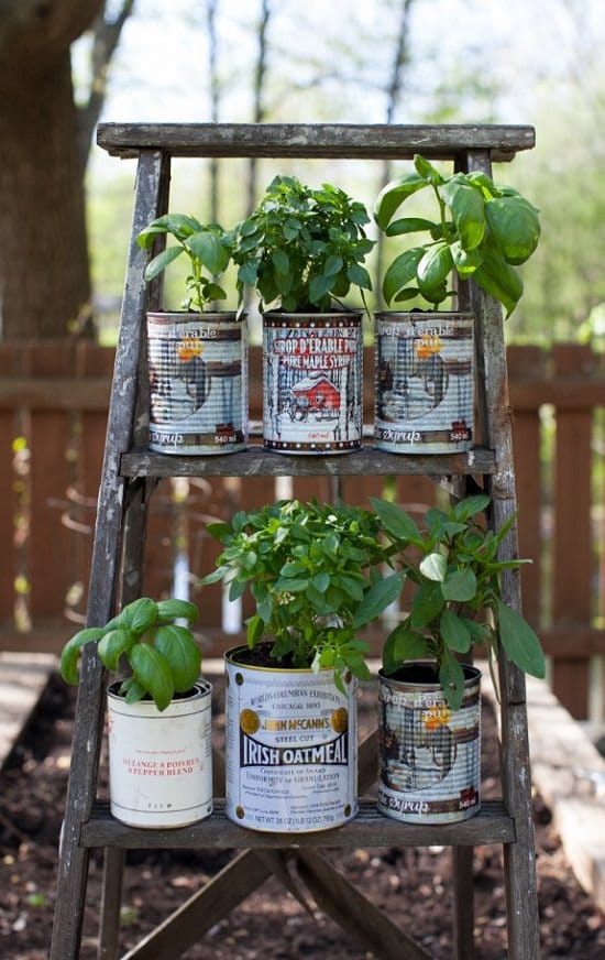 Planter Pots