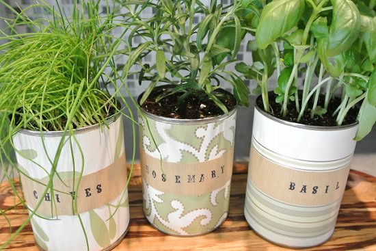 Kitchen Countertop Herb Garden