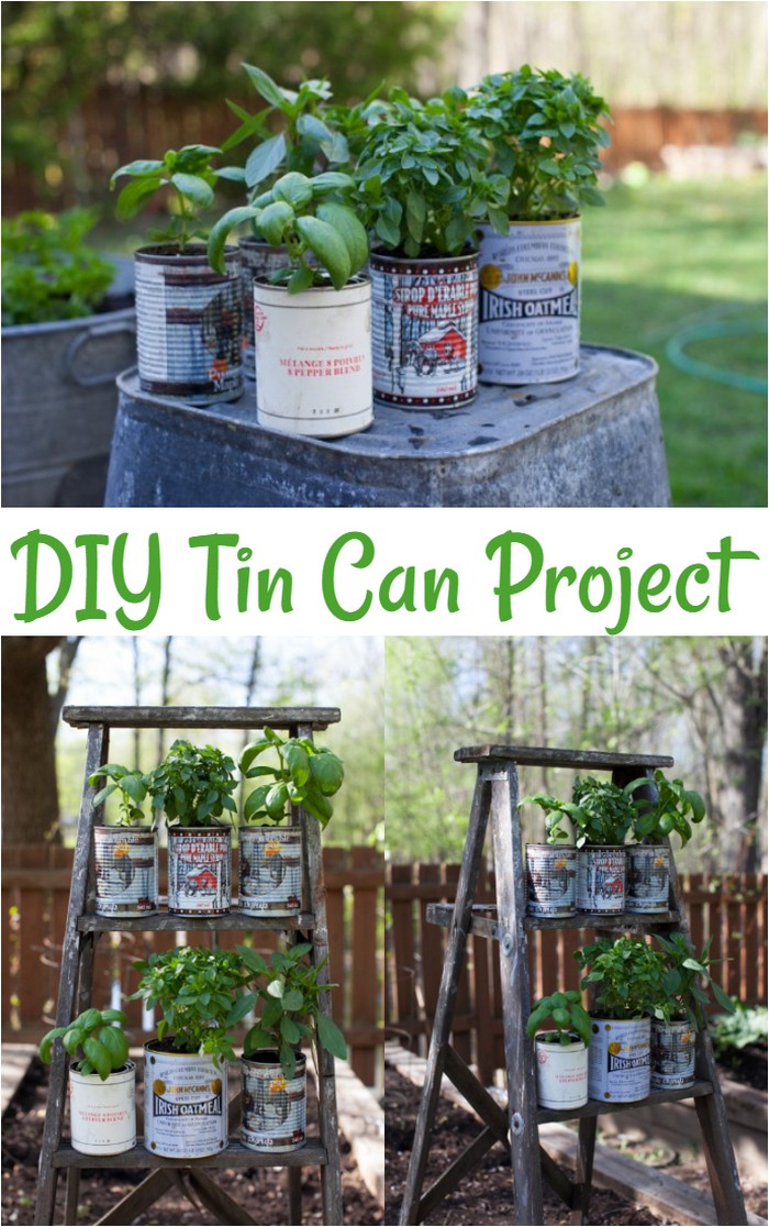 Your Very Own Herb Garden