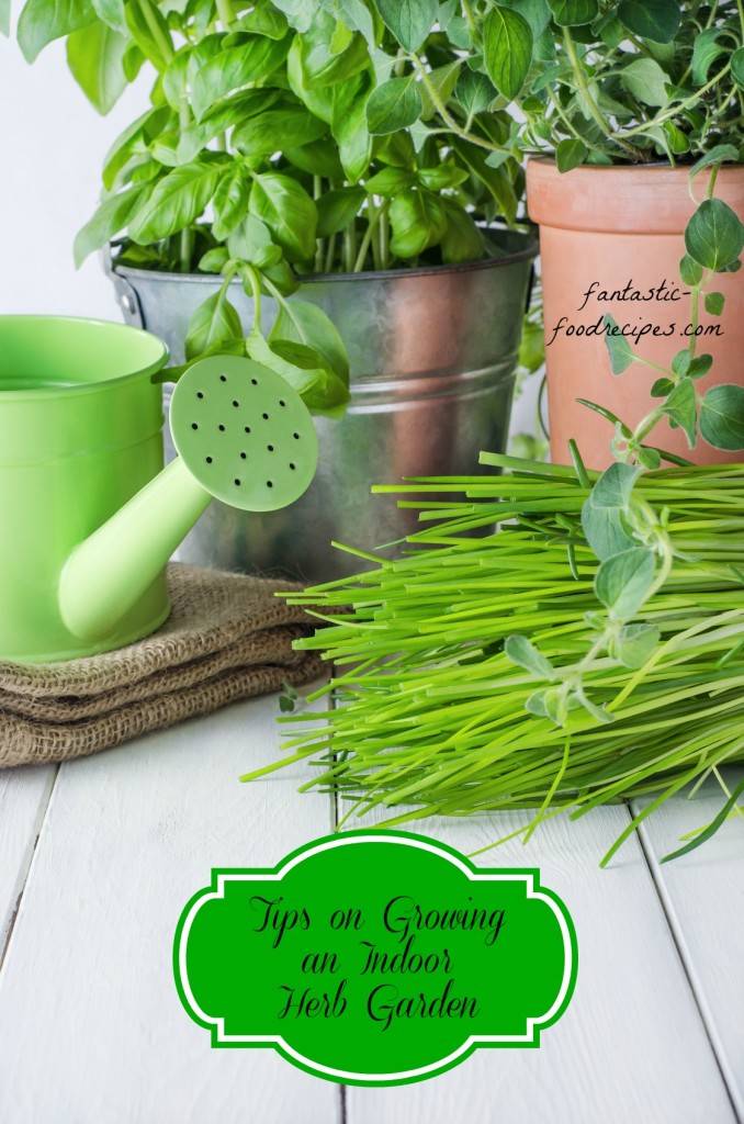 An Indoor Herb Garden