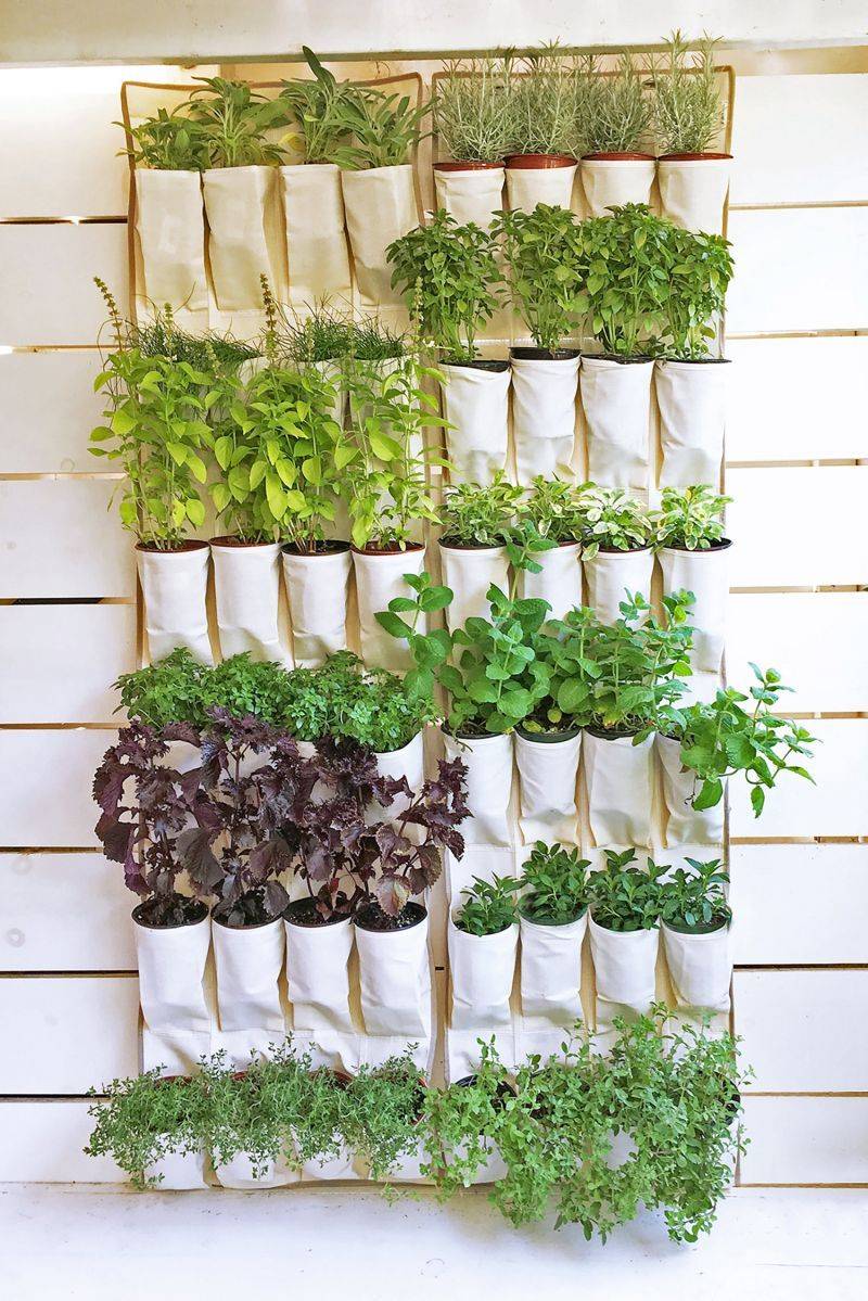 Indoor Herb Garden Ideas