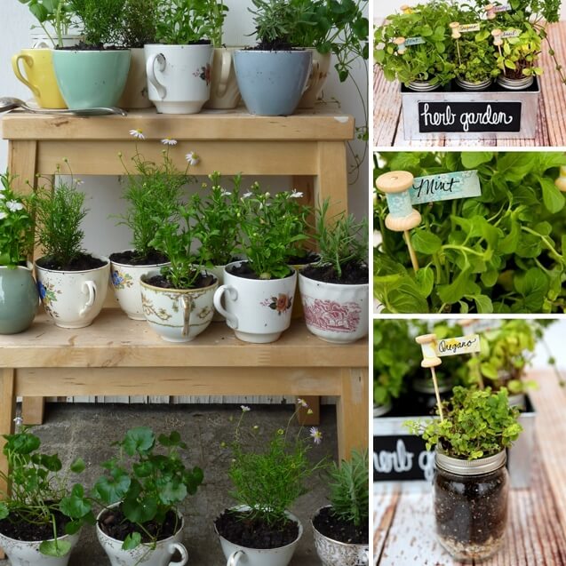 Herb Garden Indoor Ideas