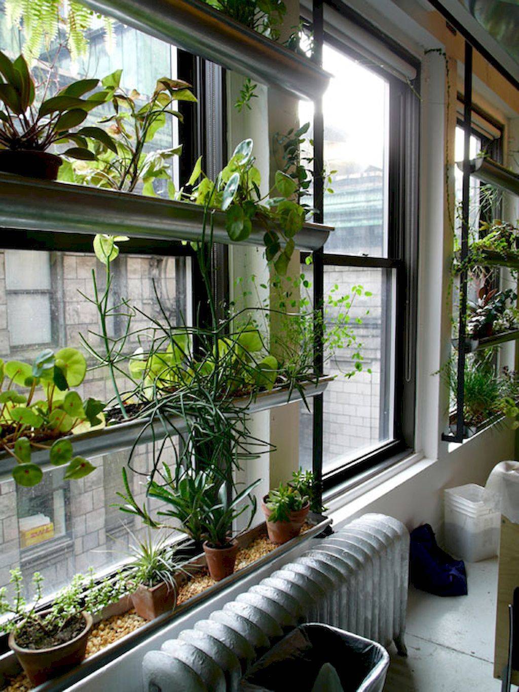 Vertical Indoor Gardening