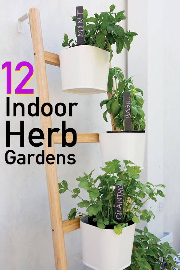 Best Diy Herb Garden Ideas Youll Obsess Over In In