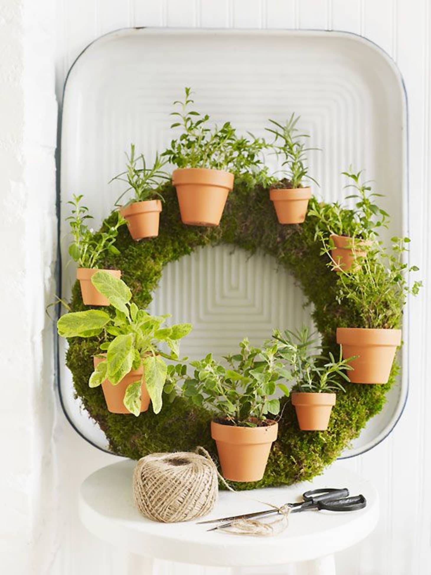 The Best Indoor Herb Garden Ideas