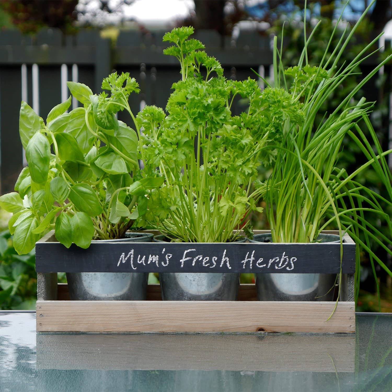Garden Seed Starting Ideas