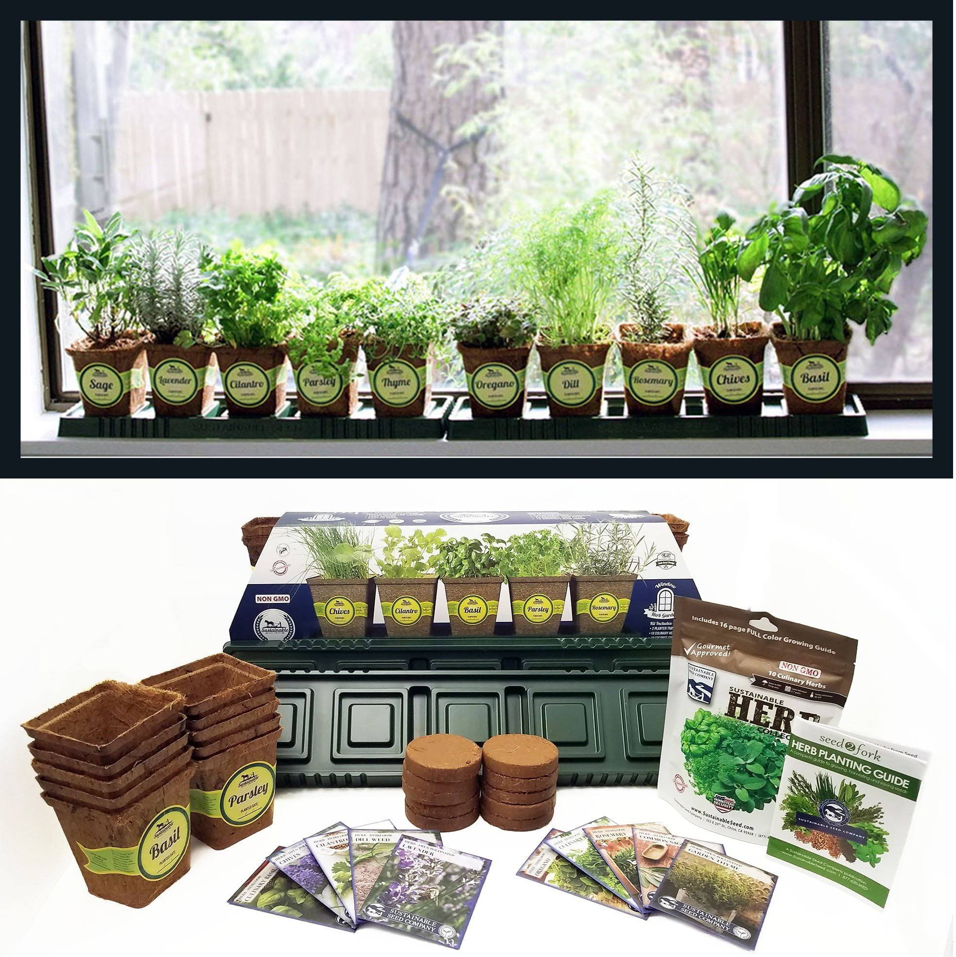 Starting Seeds Indoors