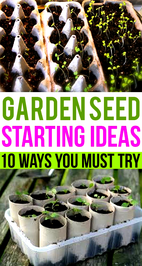 Seed Starting Ideas Seed Starting Veggie Garden Plants