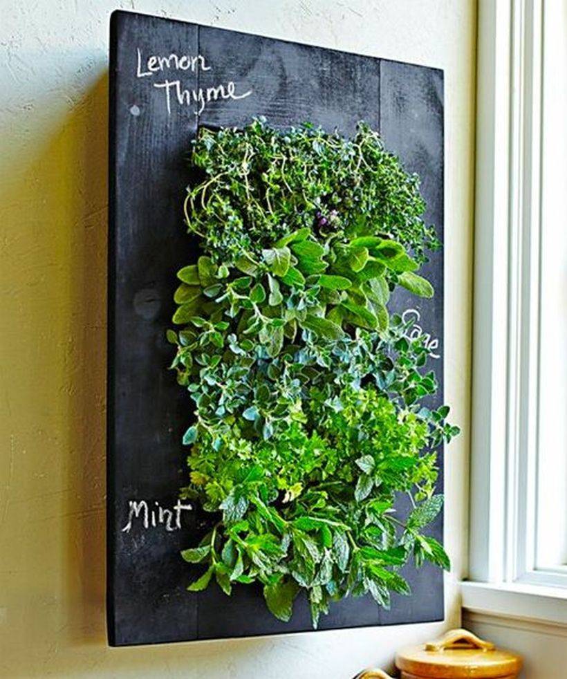 Herb Garden Indoor Ideas