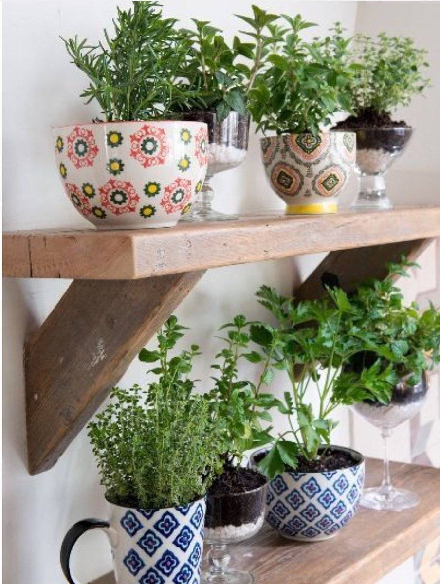 Herb Garden Indoor Design Ideas