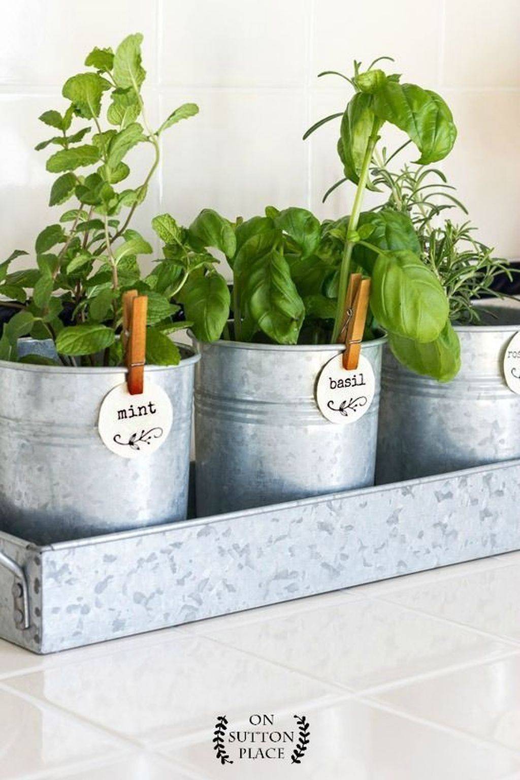 Indoor Herb Gardens