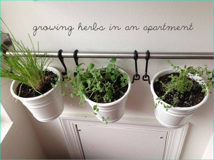 Best Ikea Window Herb Garden Ideas Beauty Room Decor Window Herb