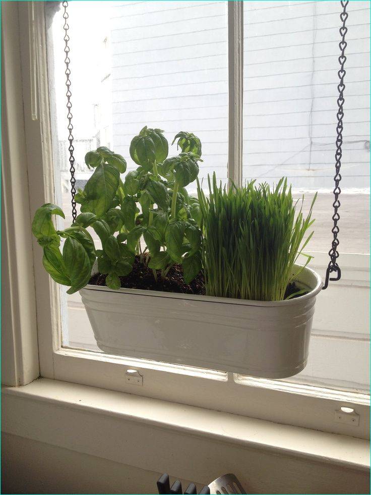 Best Ikea Window Herb Garden Ideas