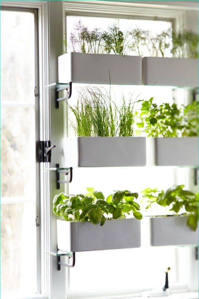 Best Diy Indoor Garden Decoration Ideas