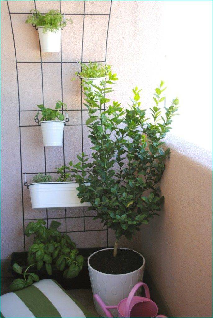 Ikea Window Herb Garden Beauty Room Decor Indoor Herb Garden