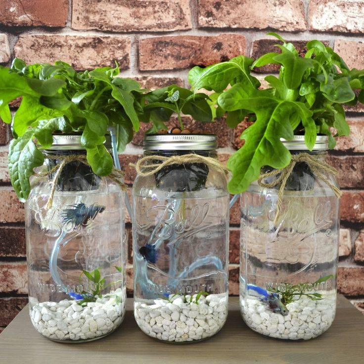 Adorable Diy Container Herb Garden Design Ideas