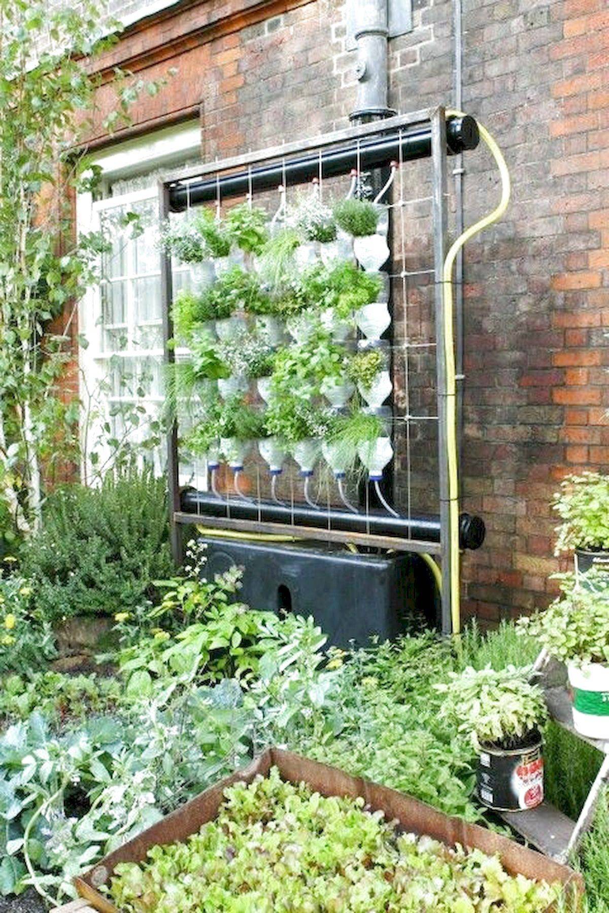 Aquaponic Jar Herb Garden